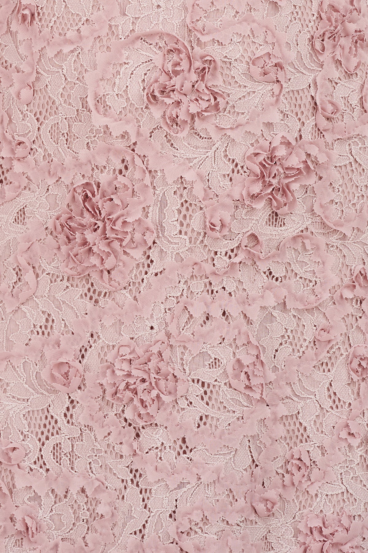 Jenni Lace Tea Length Dress